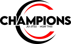 logo 6095ae212b47b25926a66a96def354fa 1x.png