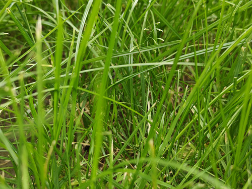 IMG20230614164332.jpg
