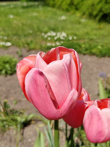 IMG20230501145130.jpg