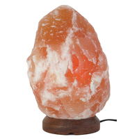 02 Purchase the Best Himalayan Salt Lamps.jpg
