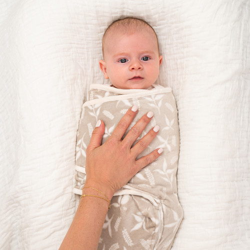 EWSM30006 6 easy swaddle wrap velboa rockland marsh 3pack.jpg
