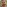 d21c79c41d25.png