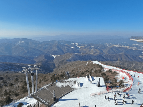 skiing optimized.png