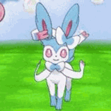 IMG 7266.gif
