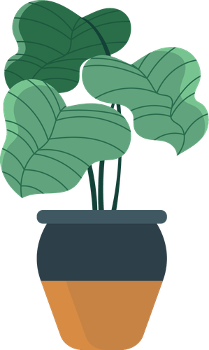 plant one.png