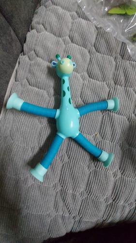 girafinha 6.jpg
