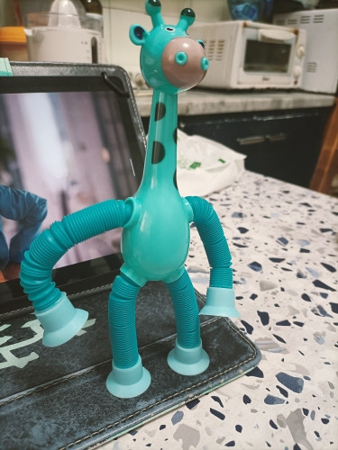 girafinha 3.jpg