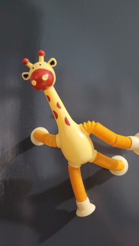 girafinha 7.jpg