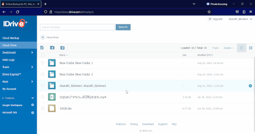 IDrive prod 28.gif
