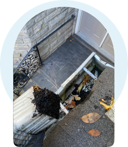 Gutter Cleaning Mississauga.png