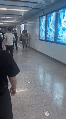 GIF 230822 165142.gif