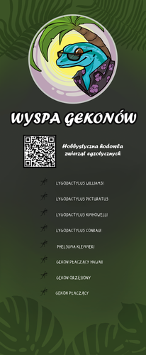 wyspa rollup f.png
