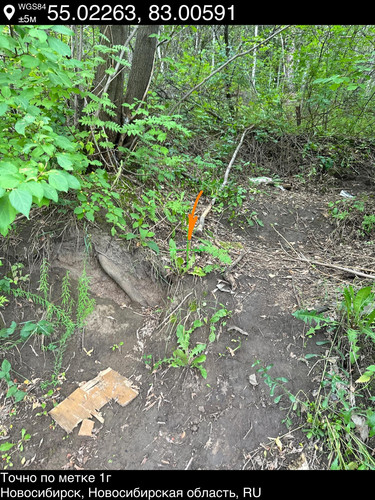 20..jpg