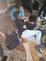 b9ce40498d1b.jpg