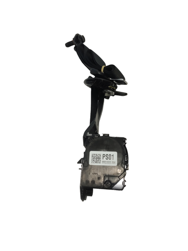 PhotoRoom 20230818 140816.png