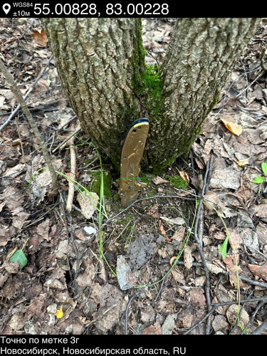 4.jpg