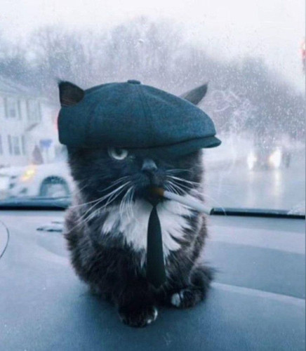 image.jpg