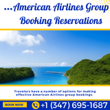 American Airlines Group Booking Reservations (1).png