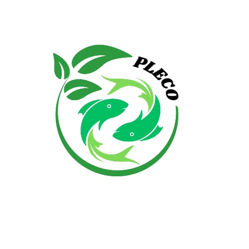 d07edcdd1778.jpg