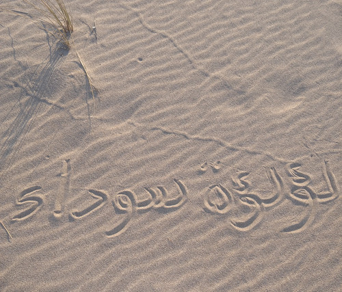 IMG ٢٠٢٣٠٨٢١ ١٨١٠١٥.jpg