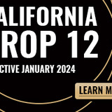 block prop12 copy