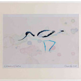 A2 avocet