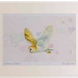 A2 barn owl inflight