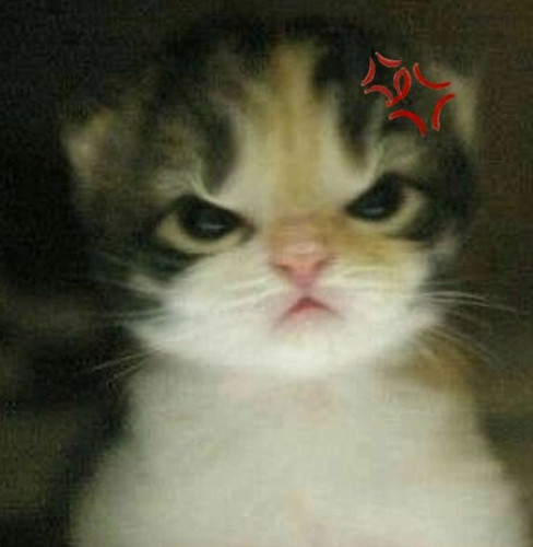 image.jpg