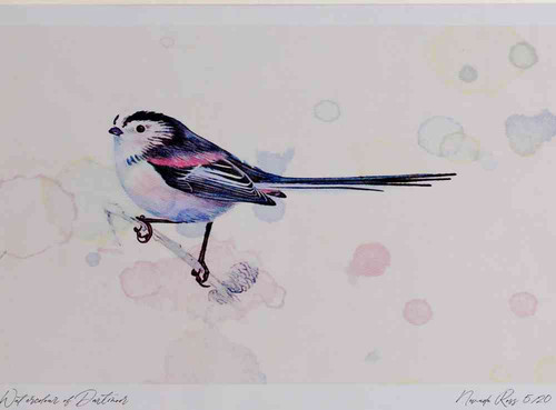 A4 long tailed tit