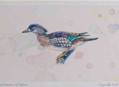 A4 mandarin female.jpg