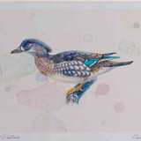 A4 mandarin female