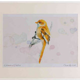 A2 bearded tit female