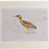 A2 bittern