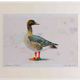 A2 bean goose racefabalistaiga