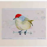 A2 blackcap female