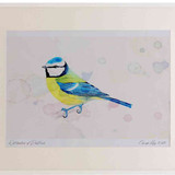 A2 blue tit adult