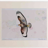 A2 buzzard inflight