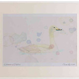 A2 bewick s swan juvenile