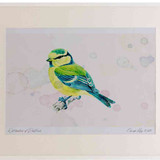 A2 blue tit juvenile