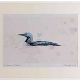 A2 black throated diver adult summerplumage
