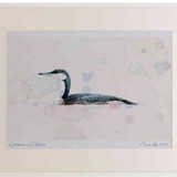 A2 black throated diver winterplumage