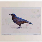A2 carrion crow