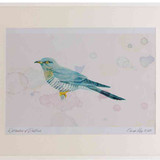 A2 cuckoo grey female