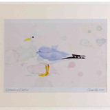 A2 common gull adult breeding plumage