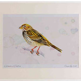 A2 corn bunting
