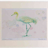 A2 crane juvenile