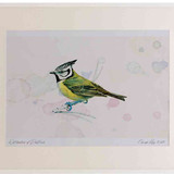 A2 crested tit
