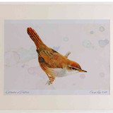 A2 cetti s warbler