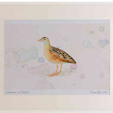A2 corncrake