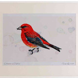 A2 crossbill male